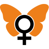 Magnetis — польські шкарпетки, у яких поєднується якість та комфорт