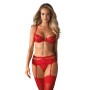 Фото  комплект obsessive heartina set