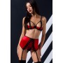 Фото  комплект passion femmina set