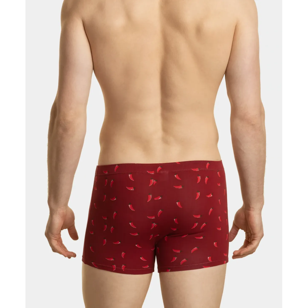 Фото  труси шорти чоловічі atlantic 2mh-060