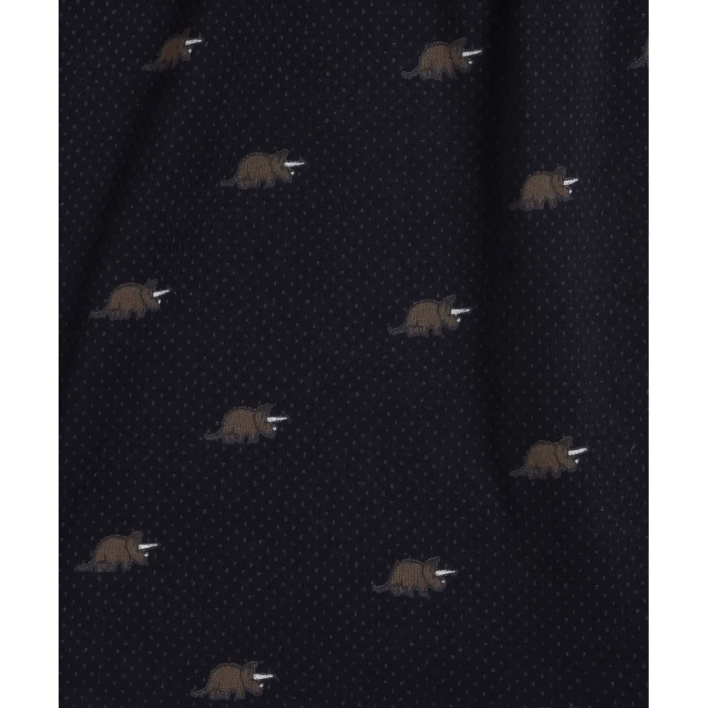 Фото  чоловічі сімейні труси atlantic 2mbx-049 w24