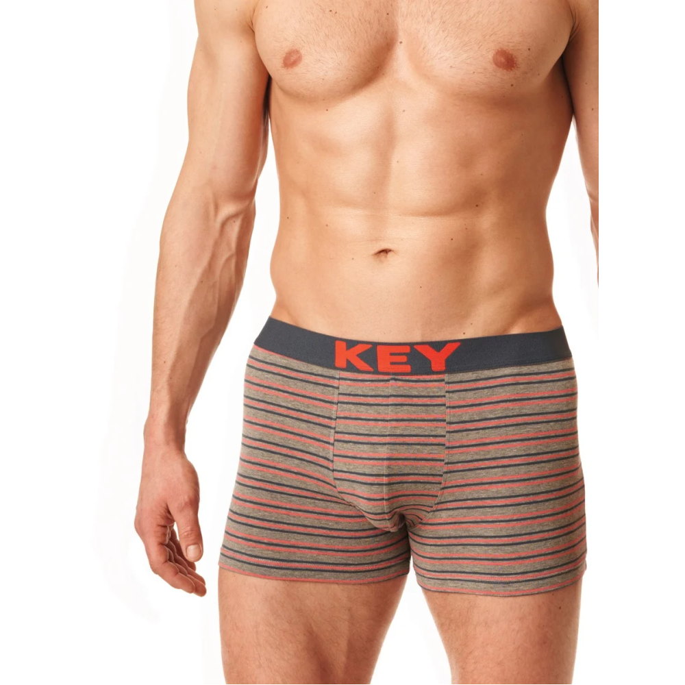 Зображення  труси шорти чоловічі труси key mxh 326 b22 xxl