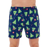 Чоловічі сімейні труси cornette cl 001/166