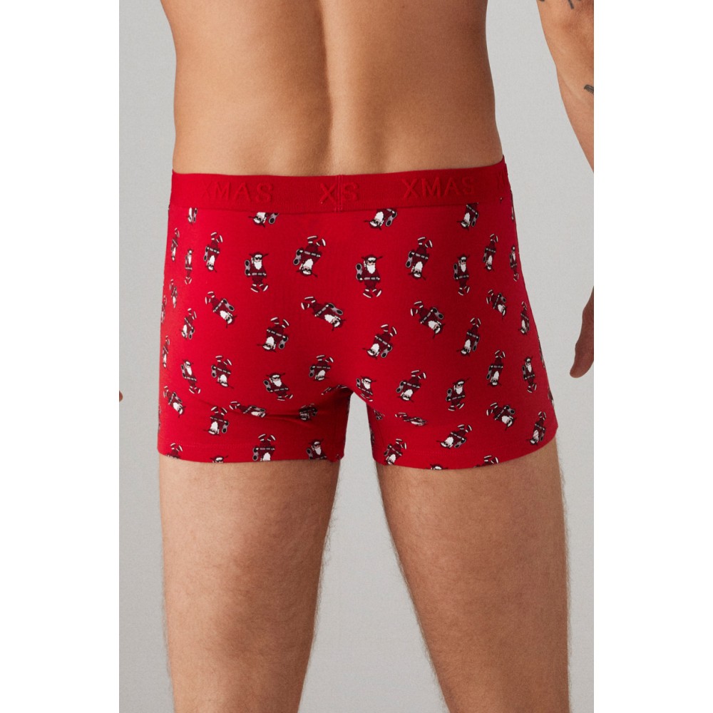 Фото  труси шорти чоловічі боксери ysabel mora 20387