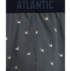 Чоловічі труси Atlantic 3MP-158 W24 XL