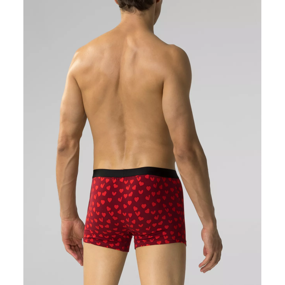 Фото  труси шорти чоловічі боксери atlantic 2gmh-026 jz24