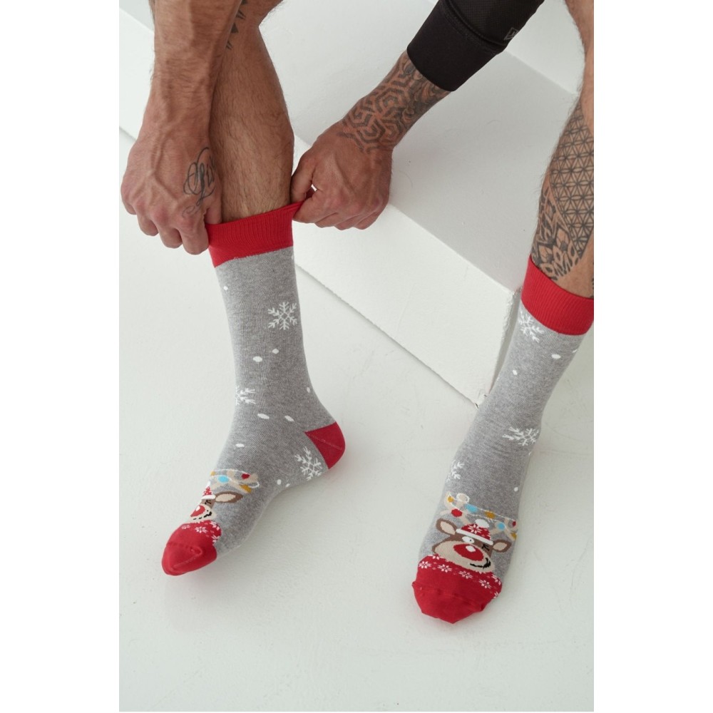 Фото  чоловічі новорічн шкарпетки milena 1290.017