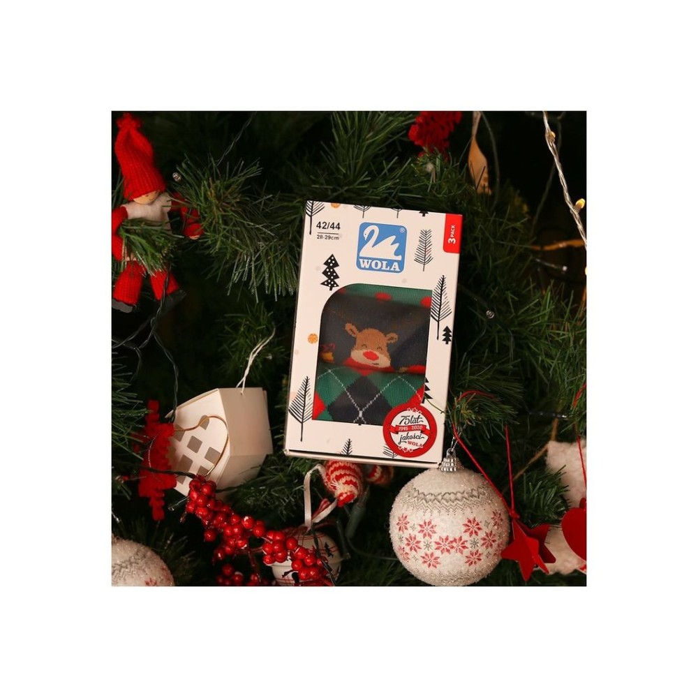 Фото  чоловічі новорічні шкарпетки wola wz 993 men