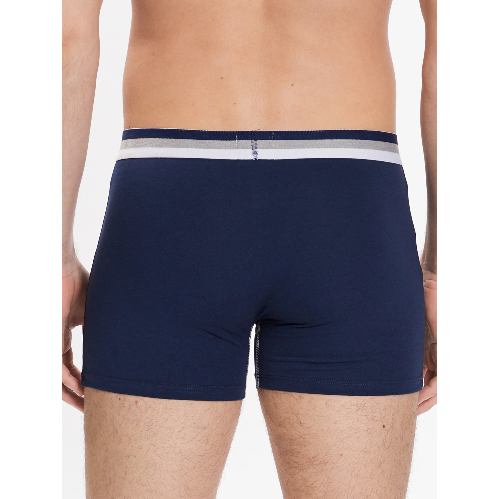 Зображення  труси шорти чоловічі henderson 40649 frosty xxl