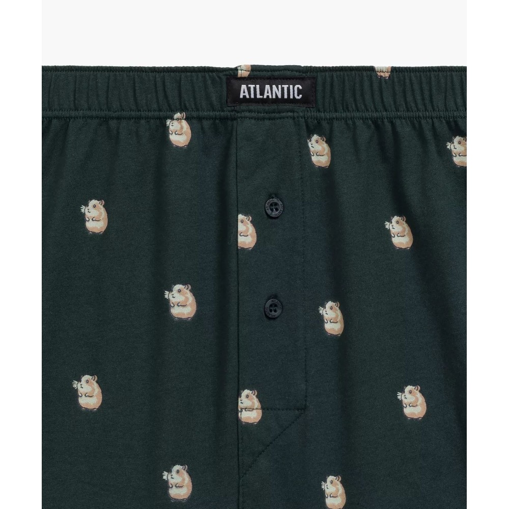 Фото  чоловічі сімейні труси atlantic 2mbh-003 jz24