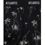 Фото  труси шорти чоловічі боксери atlantic 3mh 229 wl26